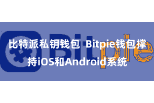 比特派私钥钱包 Bitpie钱包撑持iOS和Android系统