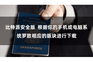 比特派安全版 根据你的手机或电脑系统罗致相应的版块进行下载