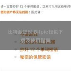 比特派提现 Bitpie钱包下载及使用指南