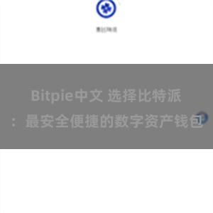 Bitpie中文 选择比特派：最安全便捷的数字资产钱包