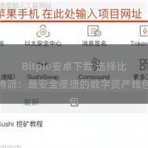 Bitpie安卓下载 选择比特派：最安全便捷的数字资产钱包