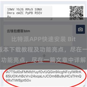 比特派APP快速安装 Bitpie钱包最新版本下载教程及功能亮点，尽在一篇文章中详解