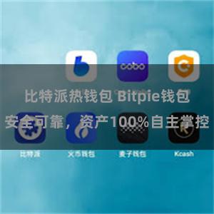 比特派热钱包 Bitpie钱包安全可靠，资产100%自主掌控