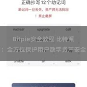 Bitpie安全教程 比特派：全方位保护用户数字资产安全