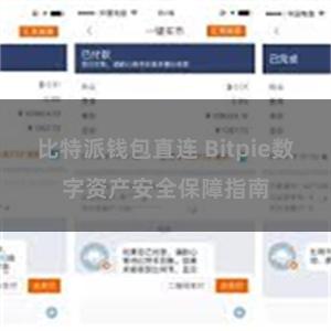 比特派钱包直连 Bitpie数字资产安全保障指南