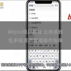 Bitpie用户教程 比特派钱包多链资产管理操作指南