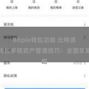 Bitpie钱包功能 比特派钱包多链资产管理技巧：全面攻略