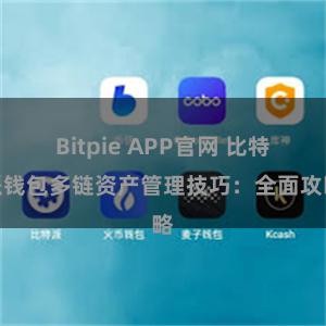 Bitpie APP官网 比特派钱包多链资产管理技巧：全面攻略