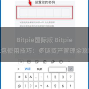 Bitpie国际版 Bitpie钱包使用技巧：多链资产管理全攻略