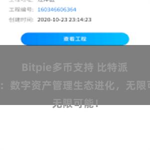 Bitpie多币支持 比特派钱包：数字资产管理生态进化，无限可能！
