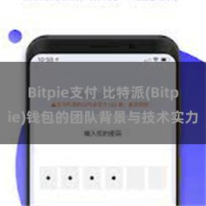 Bitpie支付 比特派(Bitpie)钱包的团队背景与技术实力