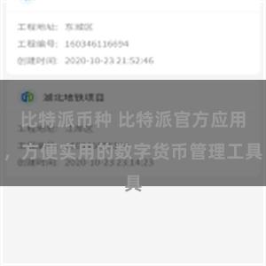 比特派币种 比特派官方应用，方便实用的数字货币管理工具
