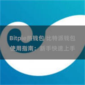 Bitpie热钱包 比特派钱包使用指南：新手快速上手