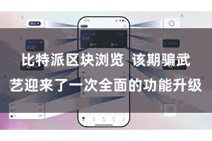 比特派区块浏览  该期骗武艺迎来了一次全面的功能升级